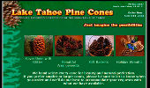  - Lake Tahoe Pine Cones