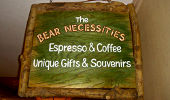  - Bear Necessities